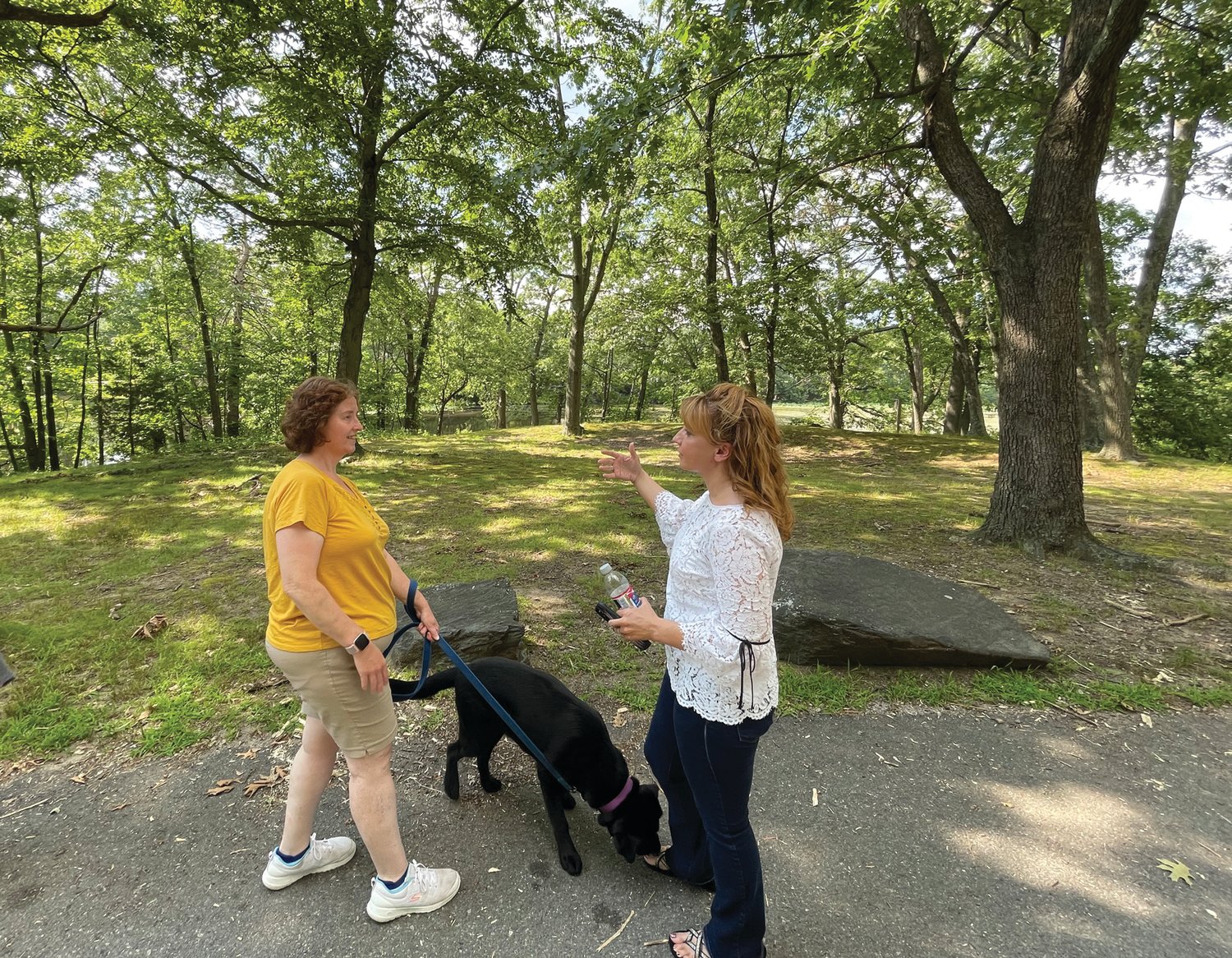 MEETING IN THE PARK: State Rep. Barbara Ann Fenton-Fung chats with Gail Bennett, a resident of the Meshanticut Park area, during a summer walk around the loop.